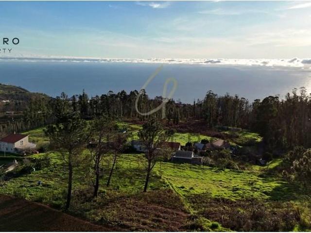 Terreno venda em Ilha Da Madeira