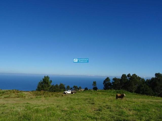Terreno venda em Ponta Do Pargo, Ilha Da Madeira