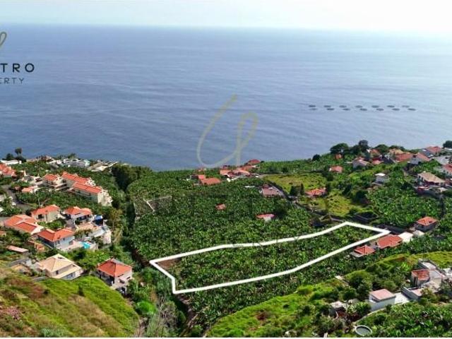 Terreno venda em Ilha Da Madeira