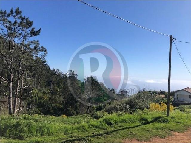 Terreno venda em Ilha Da Madeira