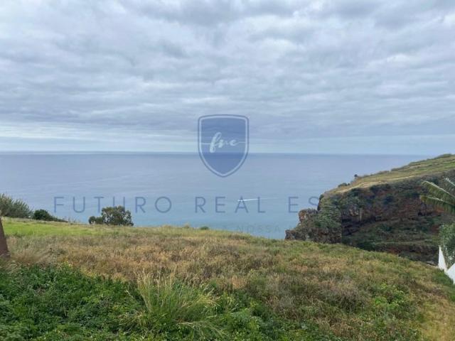 Terreno venda em Ilha Da Madeira
