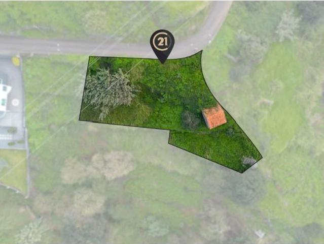 Terreno venda em Ilha Da Madeira