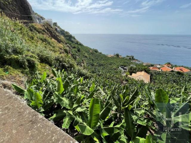 Terreno venda em Arco Da Calheta, Ilha Da Madeira