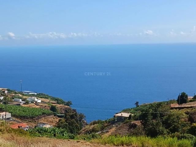 Terreno venda em Lombo dos Serrões, Estreito Da Calheta