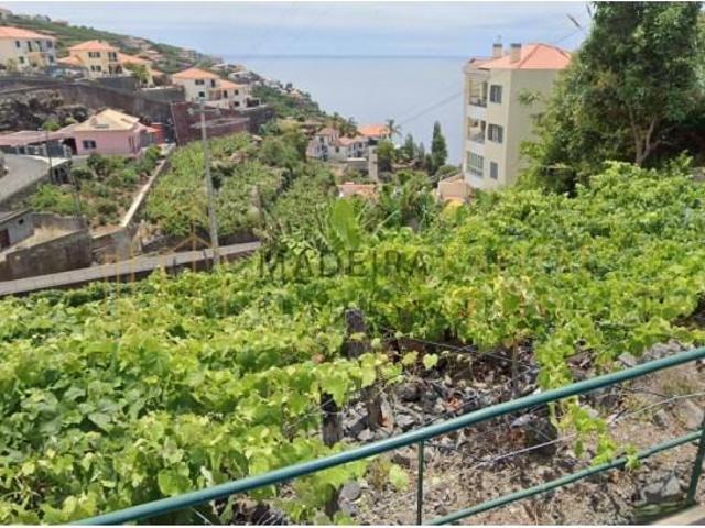 Terreno venda em Ilha Da Madeira