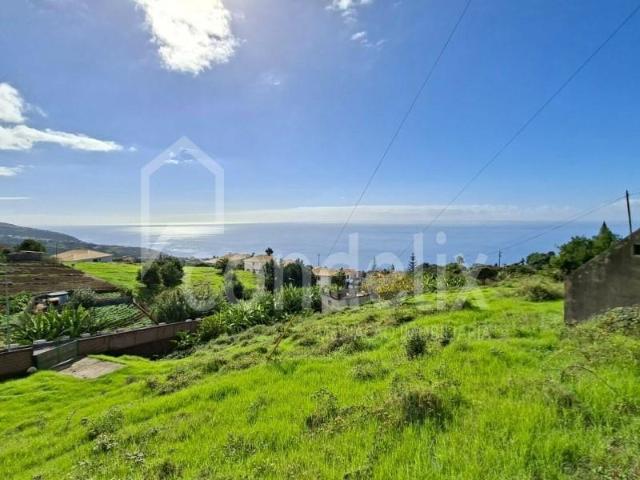 Terreno venda em Lombo da Igreja, Estreito Da Calheta