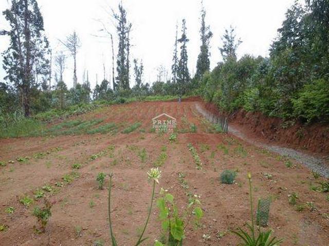 Terreno venda em Ponta do Pargo, Calheta