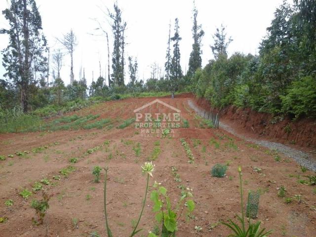 Terreno venda em Pombal, Leiria