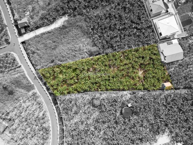 Terreno venda em Pombal, Leiria