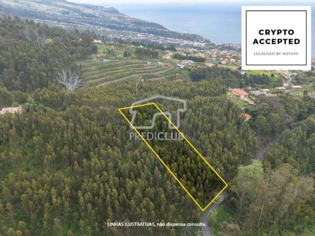 Terreno venda em Estreito Da Calheta, Ilha Da Madeira
