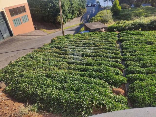 Terreno venda em Pombal, Leiria