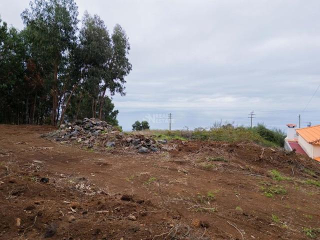 Terreno venda em Estreito Da Calheta, Ilha Da Madeira
