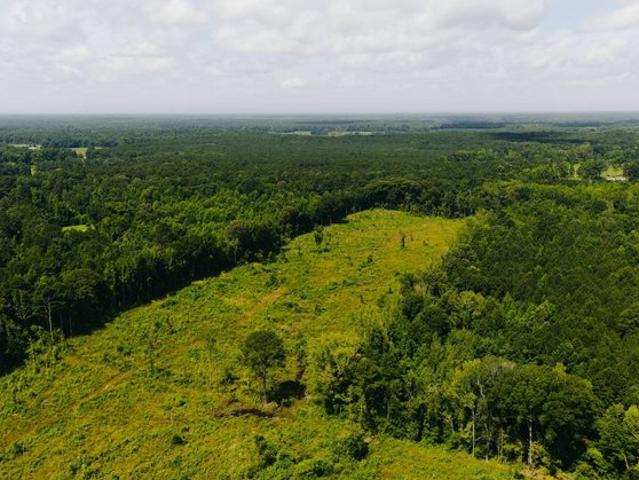 Land for sale in Forest, Mississippi