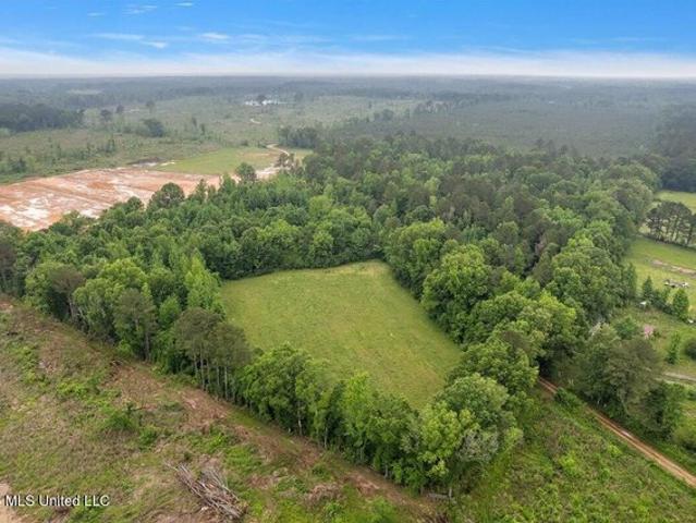 Land for sale in Forest, Mississippi