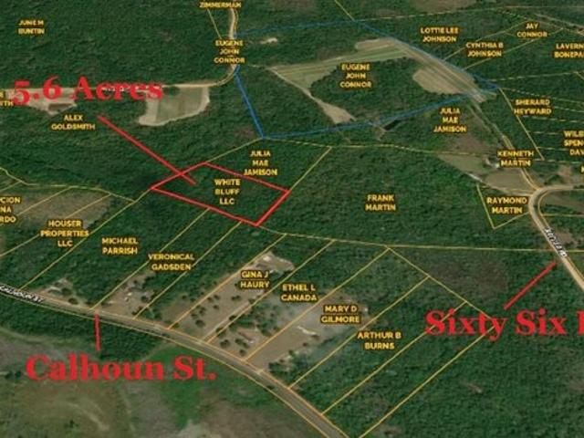 Land for sale in Branchville