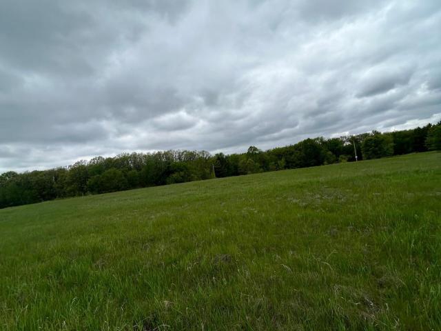 Land for sale in Motley, Minnesota
