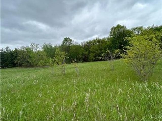 Land for sale in Morrison, Minnesota