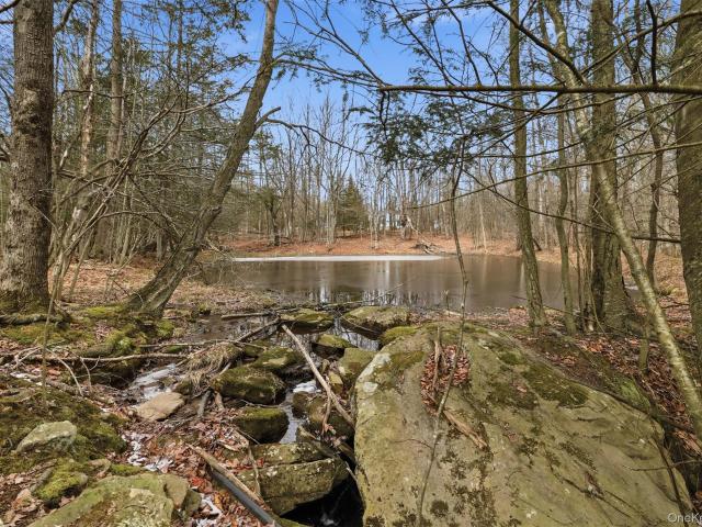Land for sale in Claryville, New York