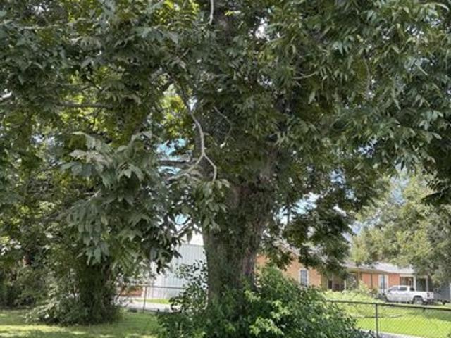 Land for sale in West Baton Rouge, Port Allen