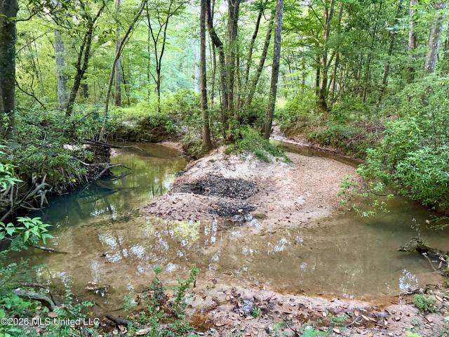 Land for sale in Bogue Chitto, Mississippi