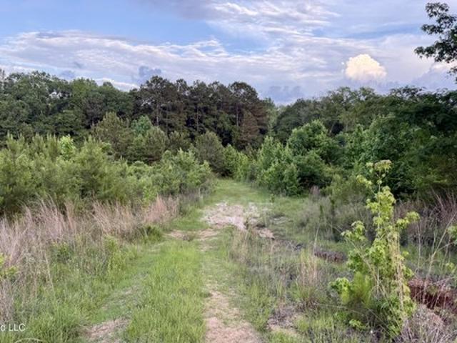 Land for sale in Bogue Chitto, Mississippi
