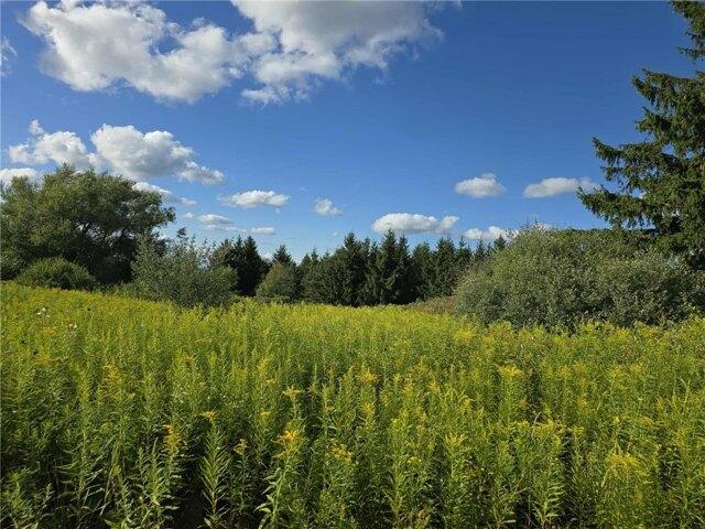 Land for sale in Canisteo, New York