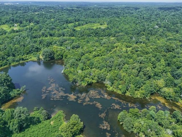 Farm for sale in Obion, West Tennessee