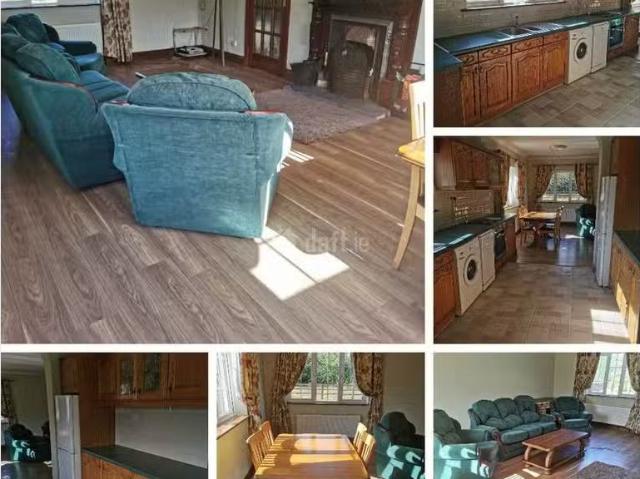 House to rent