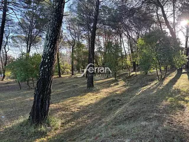 Terrain vente à Arrondissement de Draguignan, Callas