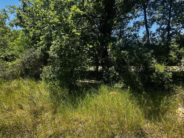 Terrain vente à Arrondissement de Draguignan, Callas