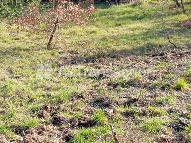Terrain vente à Arrondissement de Draguignan, Callas