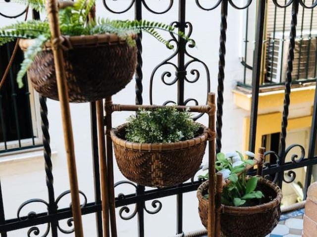 Apartamento en alquiler en Casco Antiguo, Sevilla