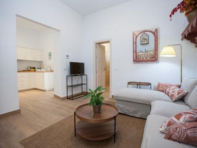 Apartamento en alquiler en San Pedro, Campiña de Jerez