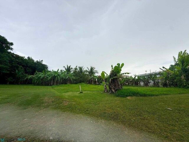 Land for sale