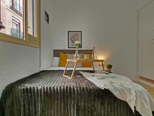 Apartamento en alquiler en Centro, Madrid