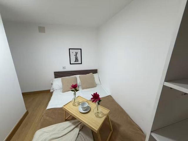 Apartamento en alquiler en Centro, Madrid