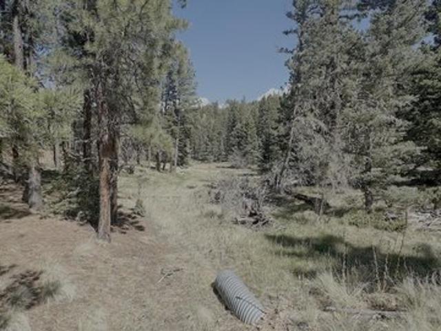 Land for sale in Angel Fire, New Mexico