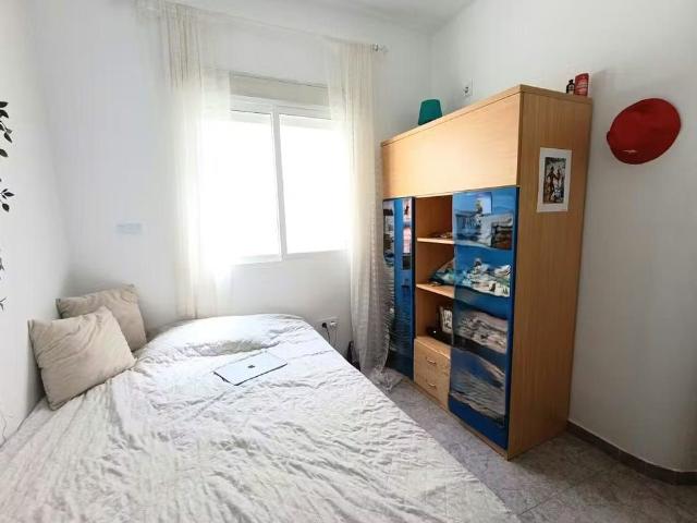 Apartamento en alquiler en Casco Antiguo, Sevilla