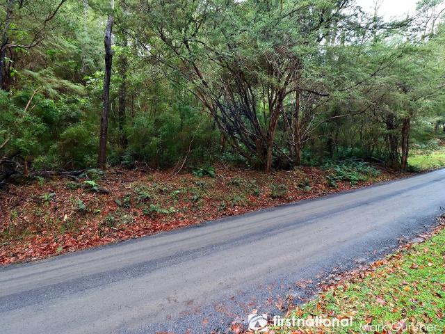 Property for sale in Camerons Creek, Victoria