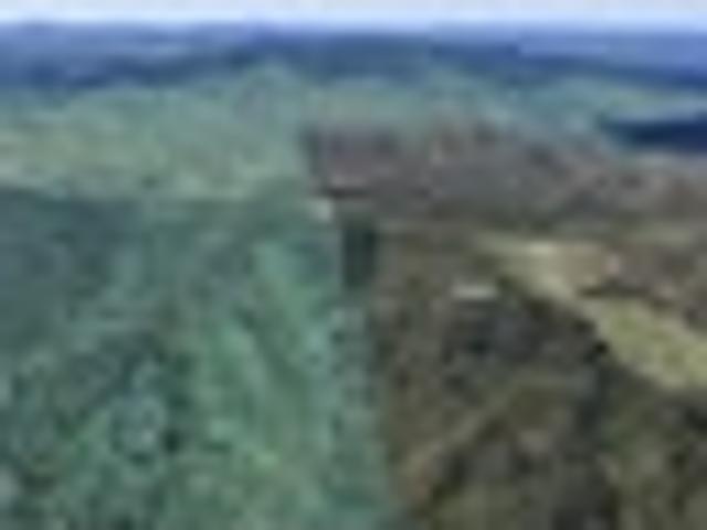 Land for sale in Waikato