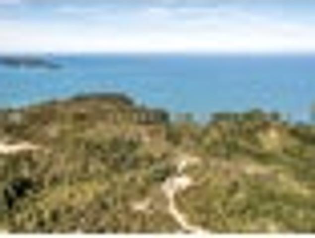 Land for sale in Tasman