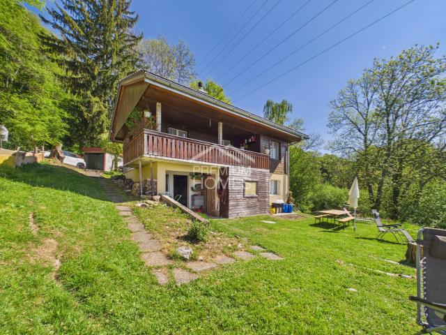 Haus kaufen in Tévenon, Waadt