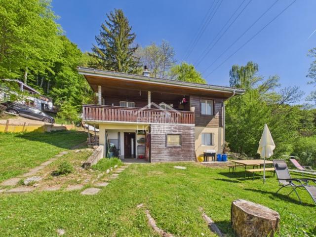 Einfamilienhaus kaufen in Tévenon, Waadt