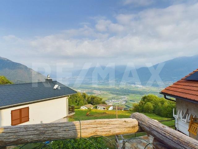 Wohnung kaufen in Cadenazzo, Tessin
