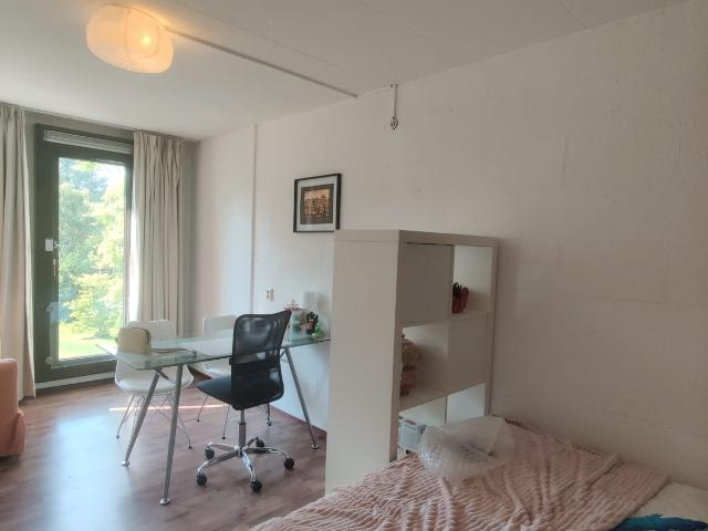 Kamer te huur in Enschede, Overijssel