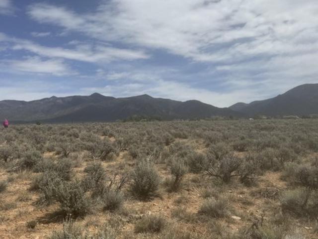 Land for sale in New Mexico