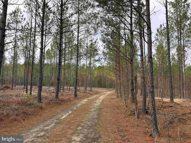 Land for sale in Virginia