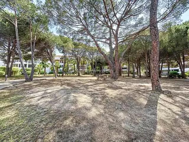 Appartement vente à Calvi