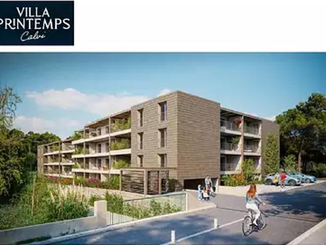 Appartement vente à Calvi