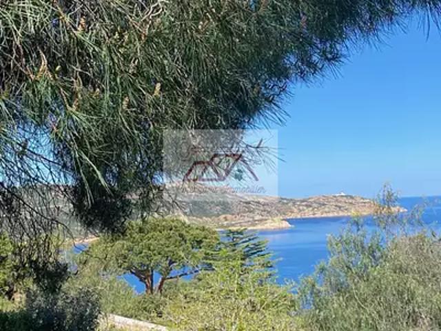 Appartement vente à Calvi